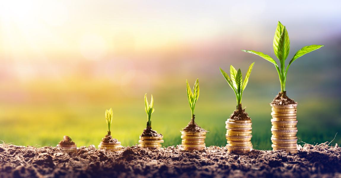 The Best Dividend Reinvestment Plans For 2018