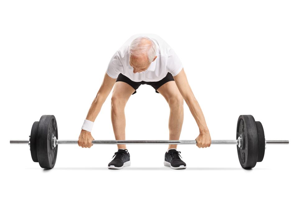 'Longevity Protein' Enables Muscle Regeneration In Old Mice