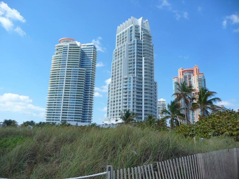 Miami Developer Denied Large Loss Due To S Corporation Basis Issues