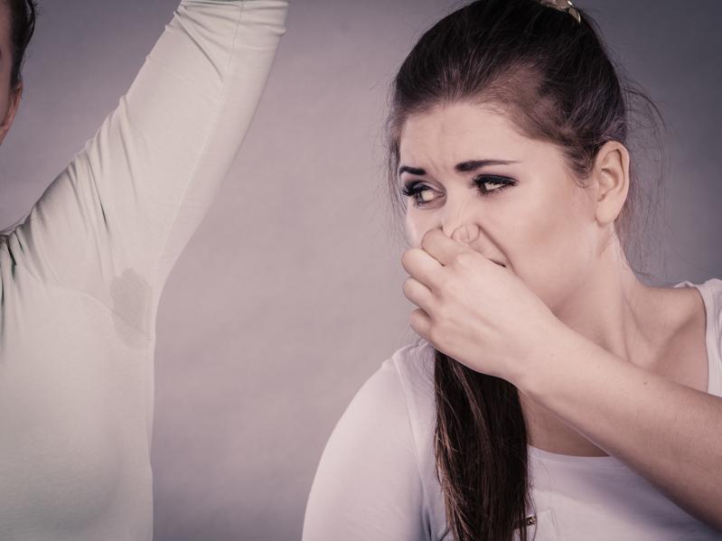 First Circuit Says IRS Cannot Use Smell Test To Squash Plan To Funnel Millions Into Roth IRA