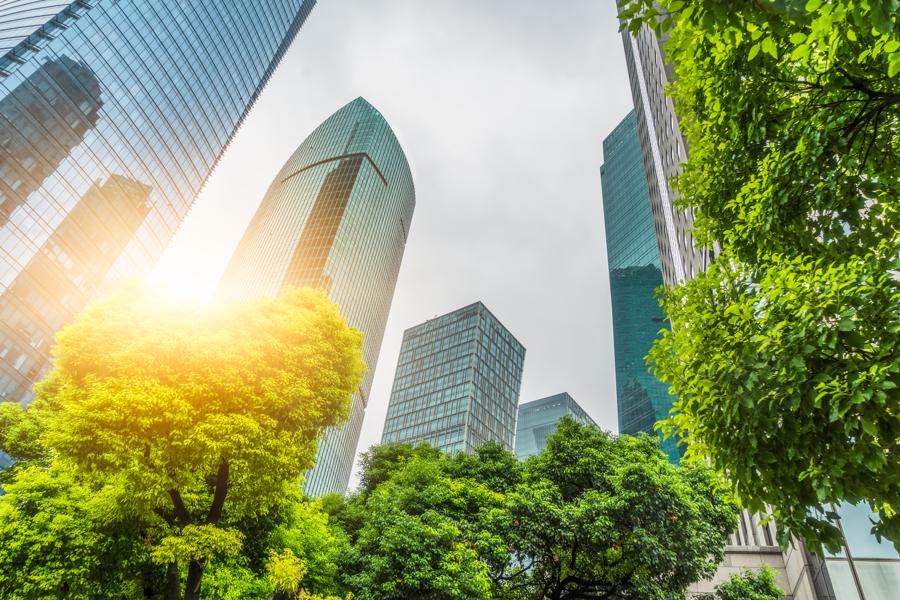 G20 Investor Forum: Buenos Aires Call to Action