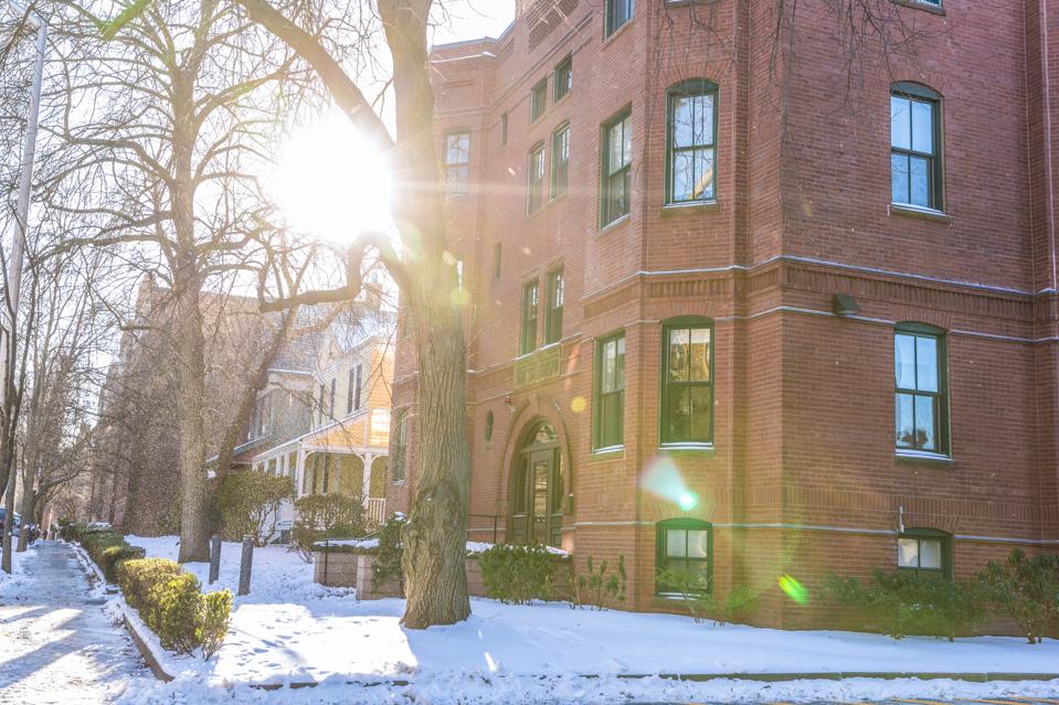College campuses, such as Harvard University's, have long been seen as encouraging outdoor study.... [+] (Photograph: Getty)
