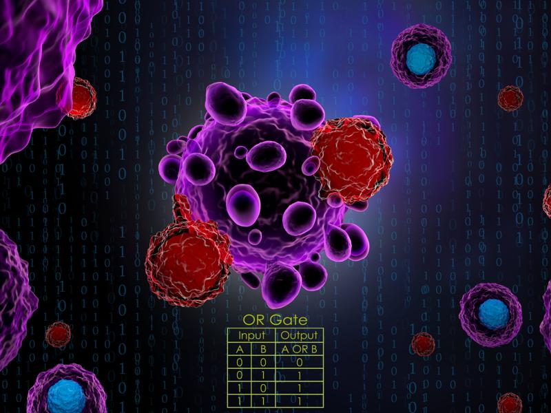Groundbreaking Research In 2018 That Furthered The Study Of Alzheimer's, Cancer And Blood Pressure