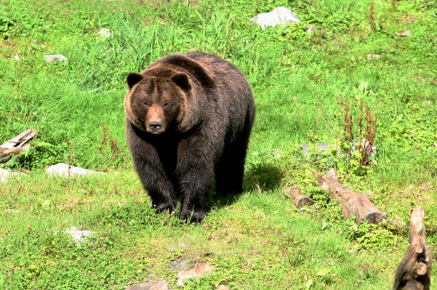 Three High-Flying Stocks to Sell Before a Bear Market