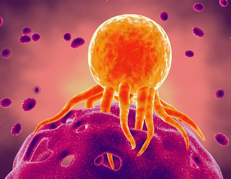 Newly Discovered Mechanism Helps Our Own Immune Systems Fight Cancer