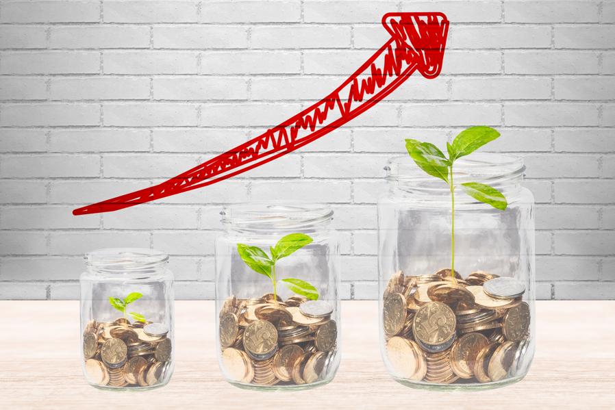 Institutional Investors And