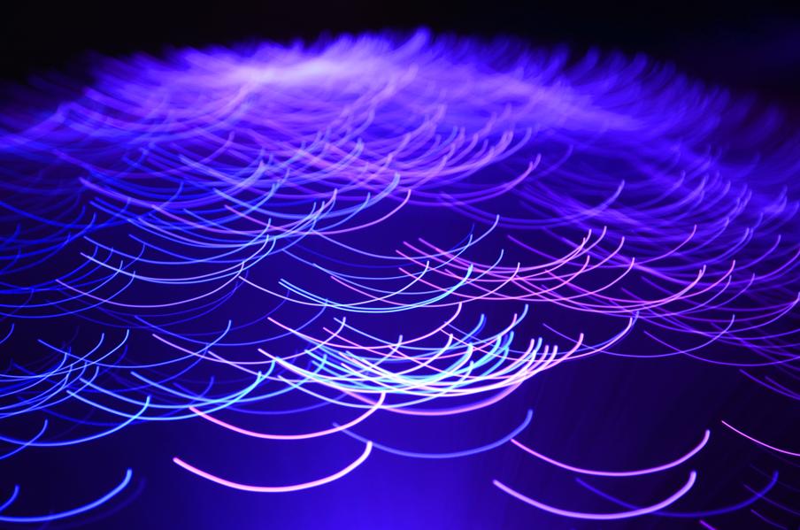 Why Getting A PhD In Science Prepares You Well To Be A Start-Up Founder