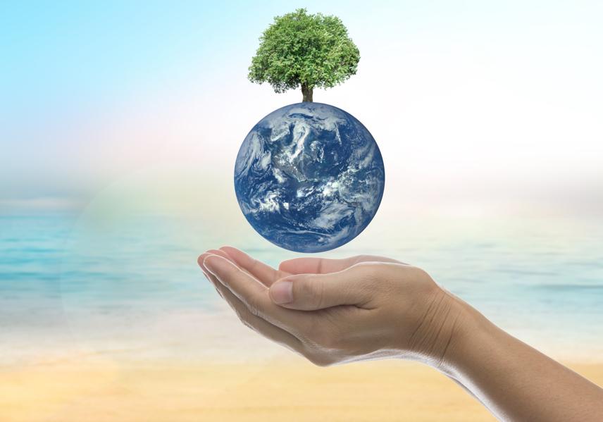 This Accelerator Is Helping To Solve Some Of The World's Most Pressing Environmental Problems