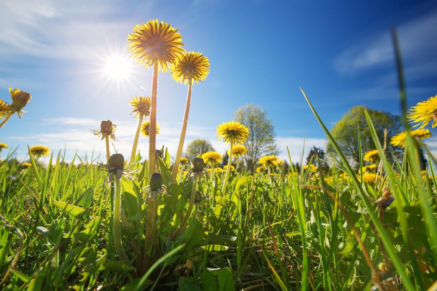 2 Reasons Why ESG Investing Is So Popular
