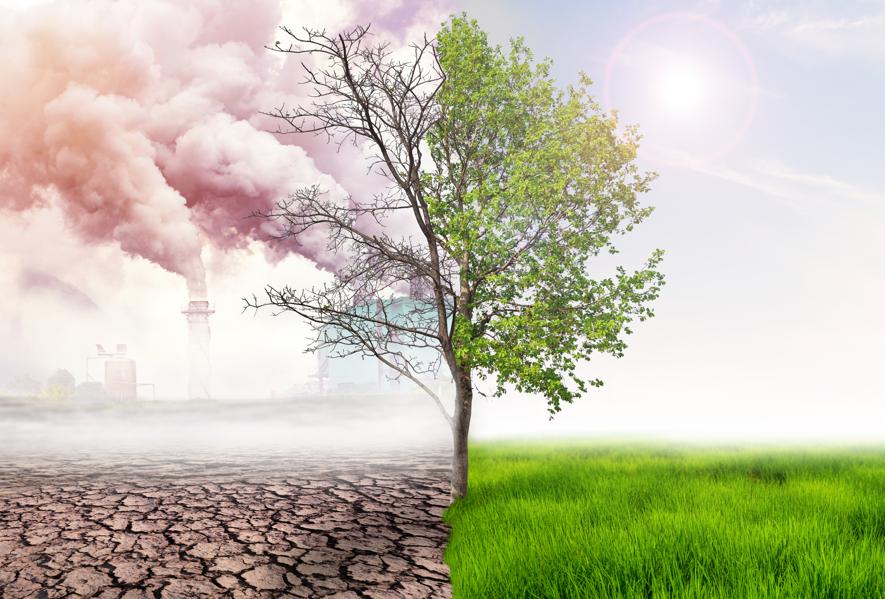 Agriculture and Forestry Companies Aren't Saying How They Will Adjust to Climate Change