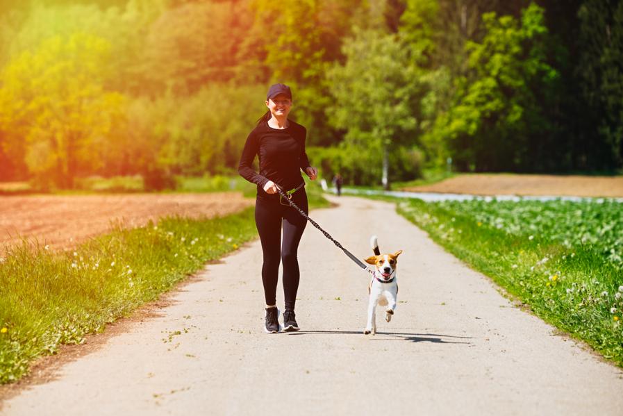 Petpreneurs On the Rise: Why Pet Franchises Are A Real Growth Sector