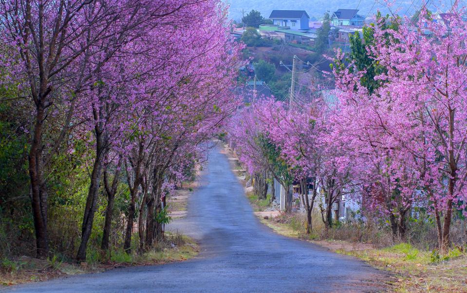 Real House Prices Fell In These 5 Cities Over The Last 12 Months