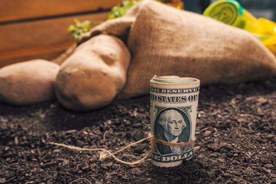 Analysts Expect The Vanguard Mid-Cap ETF Will Reach $181