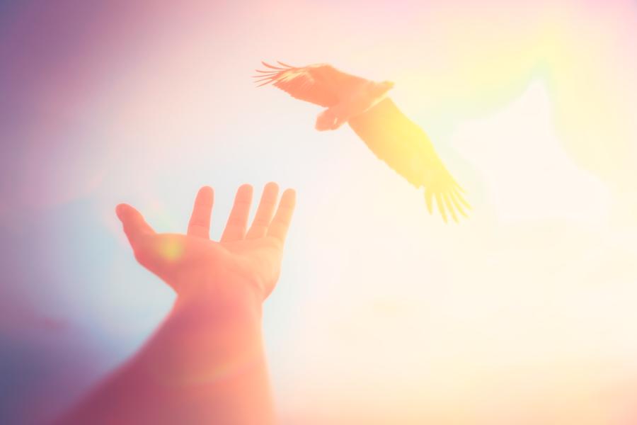 Repentance And Forgiveness: The Hidden Sides Of Performance