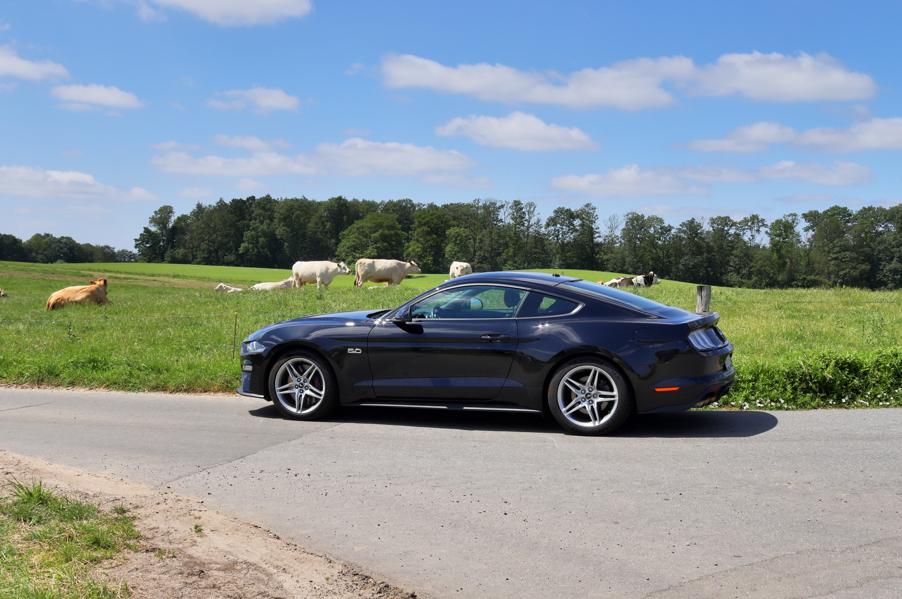 Ford Beats Tesla, Again