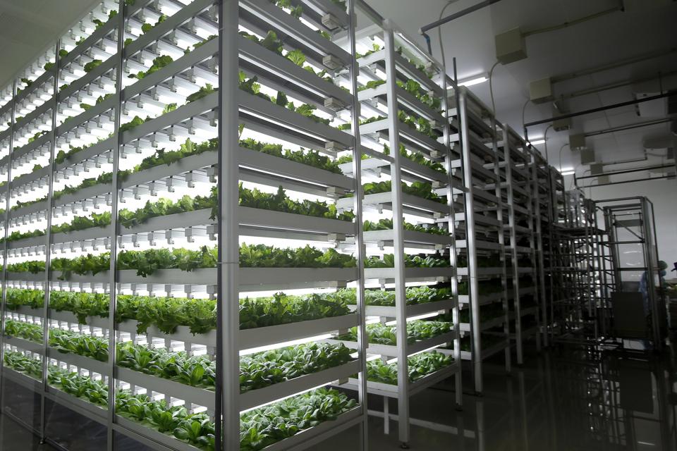 AgTech: A Great Investment For The Future