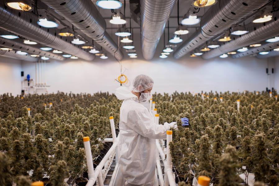 Why The Canadian Marijuana Market Will Be Smaller Than Investors Think