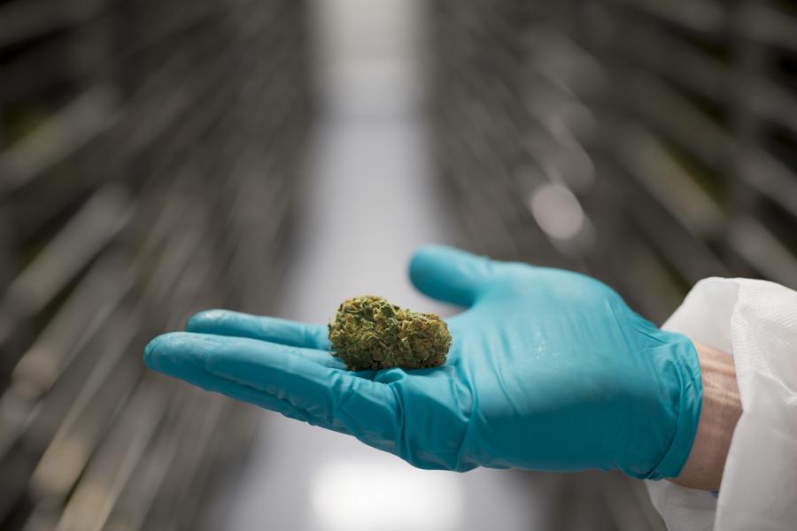 Seed-To-Sale Tracking And Compliance: If Coffee Was Regulated Like Cannabis