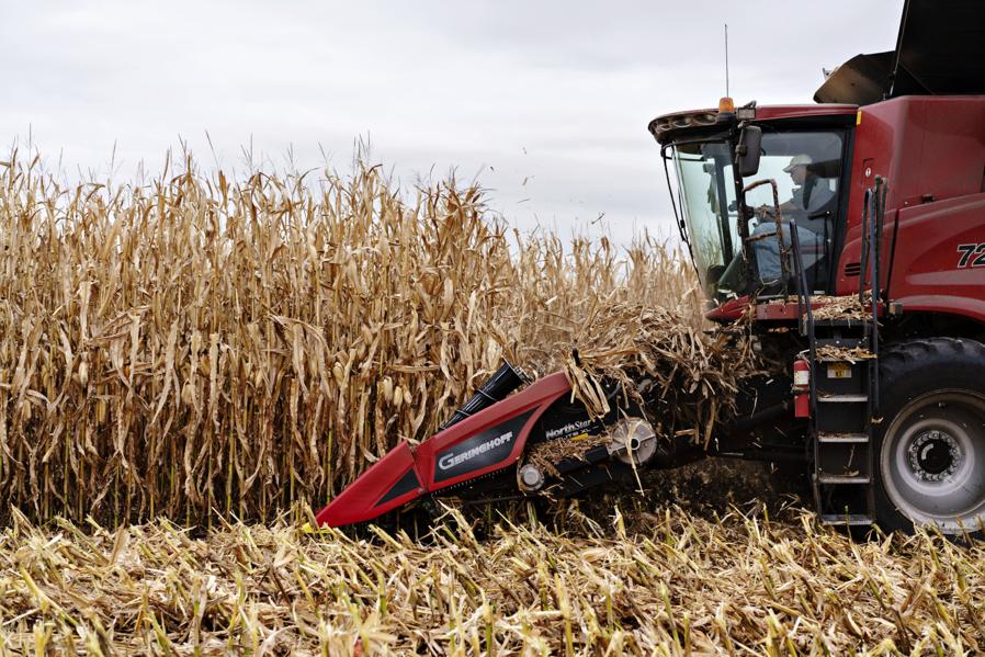 A Replay Of 1972 Could Boost U.S. Grain Prices