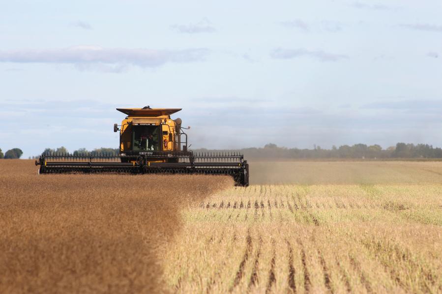 The Ins And Outs Of Tax-Loss Harvesting