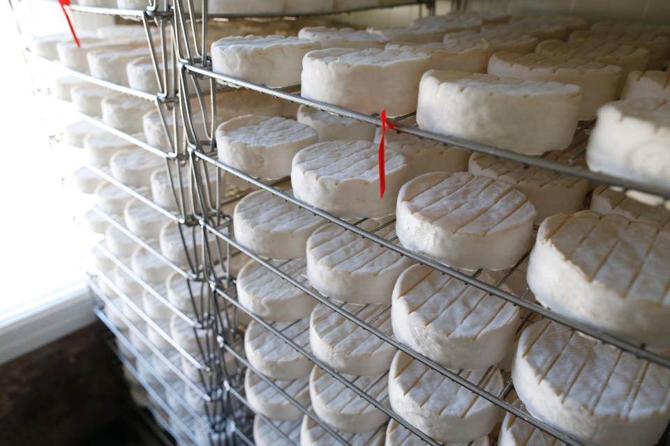 Why Your Genuine French Camembert Cheese Is In Danger