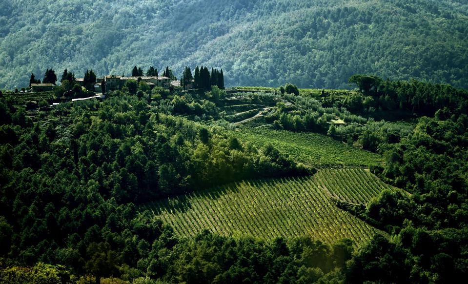 5 Amazing Italian Wine Routes, Great For Fall Getaways