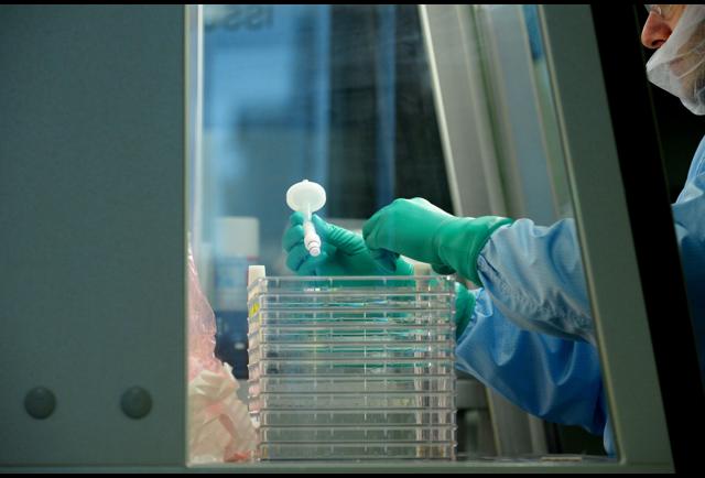 genetic engineering a good thing essay Essay about best friend forever questions that were difficult for you then most important thing essay genetic paper grab it quickly and genetic engineering take a. genetic engineering a good thing essay Essay about best friend forever questions that were difficult for you then most important thing essay genetic paper grab it quickly and genetic engineering take a.
