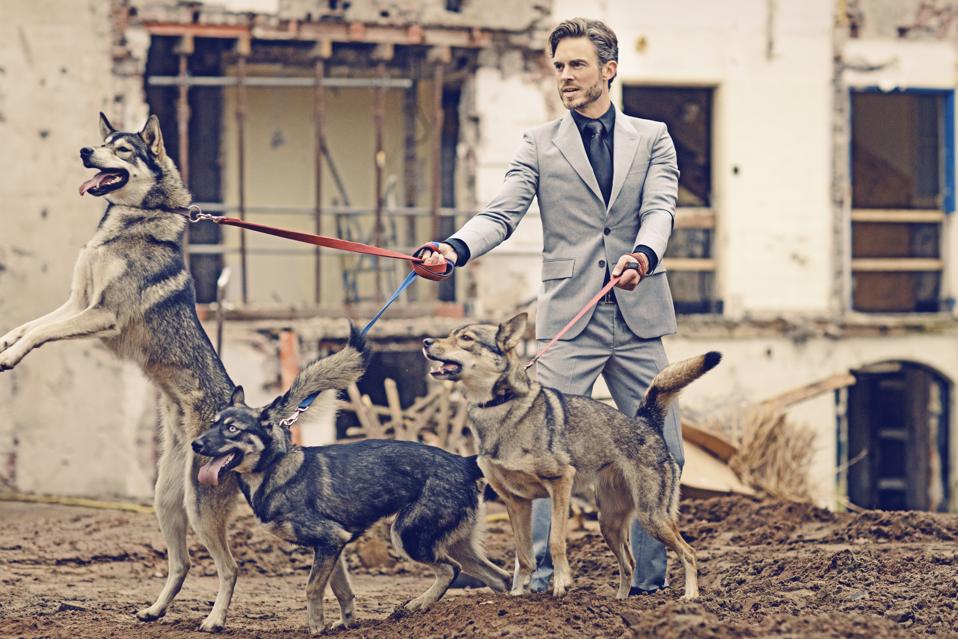 In Order To Succeed, You Need To Be A Wolf In Wolf's Clothing