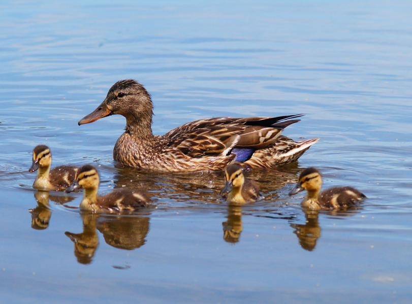 How to Use New York's Brand New Paid Family Leave Benefits
