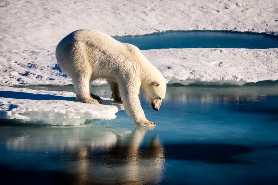4 Ways To Bet On Climate Change's $291B Economic Destruction