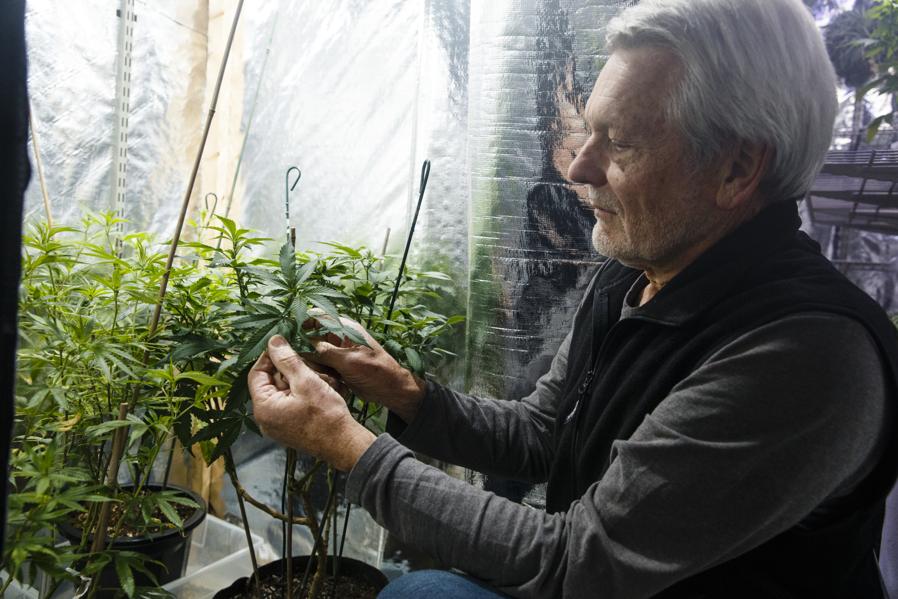 How Israel's Inspired By Silicon Valley's Billion Dollar Cannabis Industry