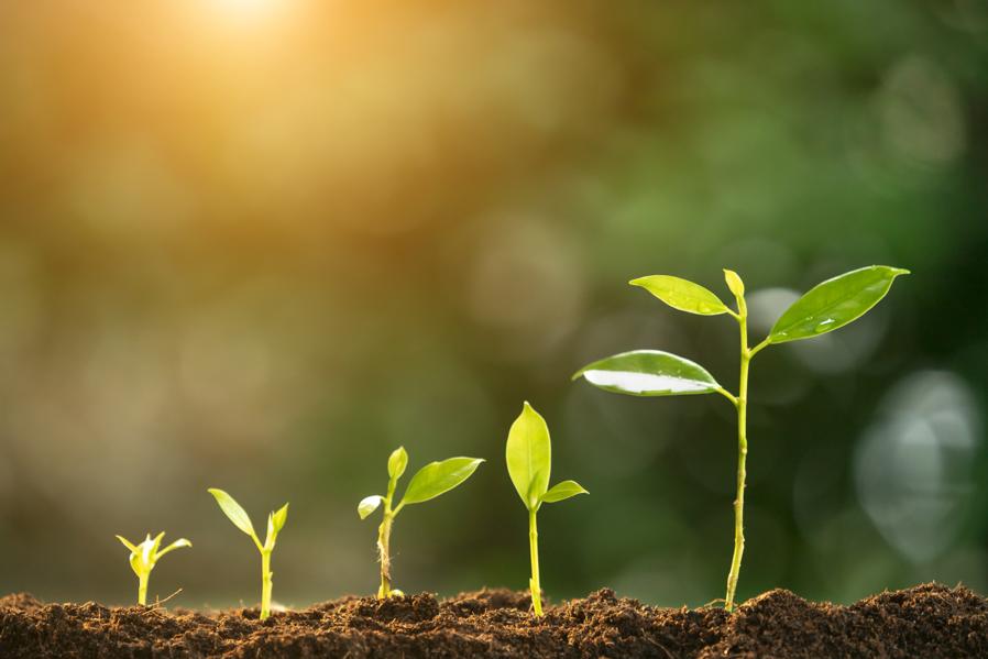 How To Sharpen Your Leadership Skills And Grow Your Business