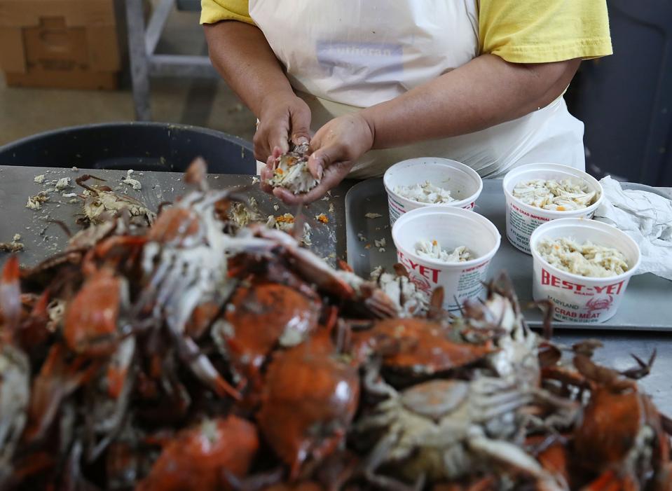Where Are Your Crabs From? FDA Warns About 4 State Vibrio Bacteria Outbreak