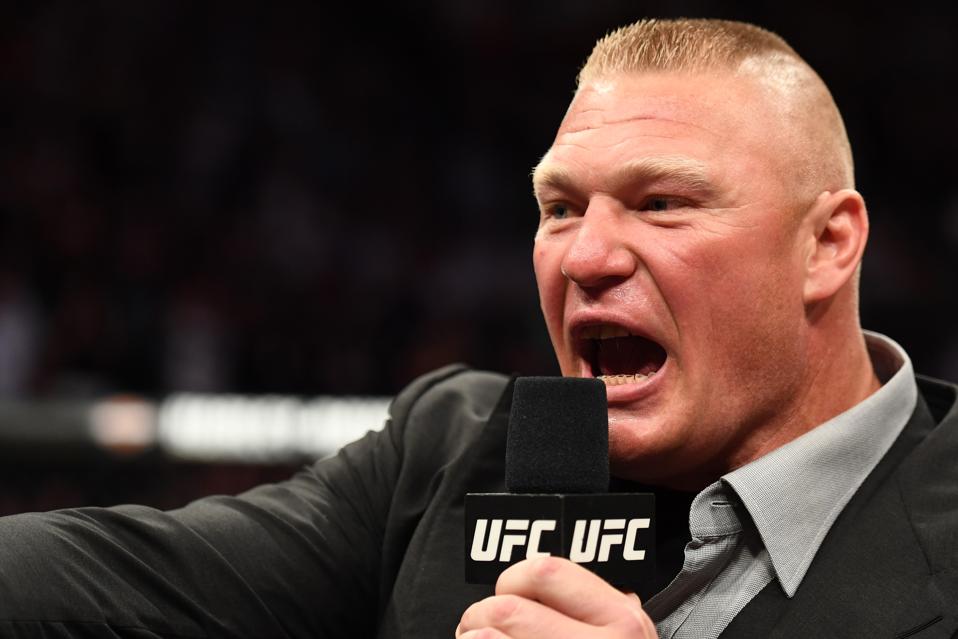 Image result for Brock Lesnar ufc 226