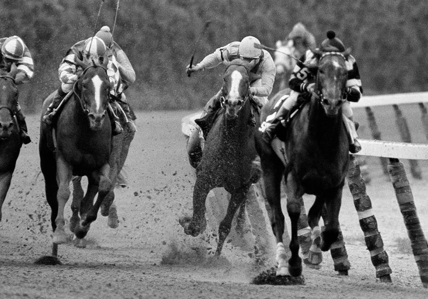 Trillion Dollar Thoroughbreds Vs. Bank Stock Nags