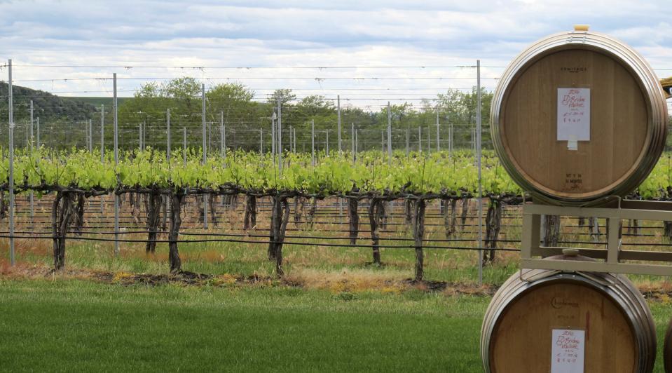 A Closer Look at Washington's Walla Walla Wine Region