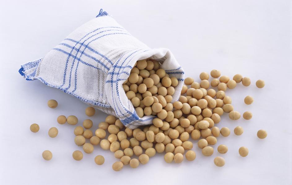 Soy Beans
