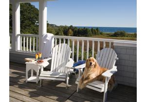 11 Great Pet Friendly Hotels