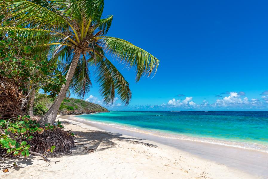 Breezes Resort And Spa In The Bahamas Weathers The Storm