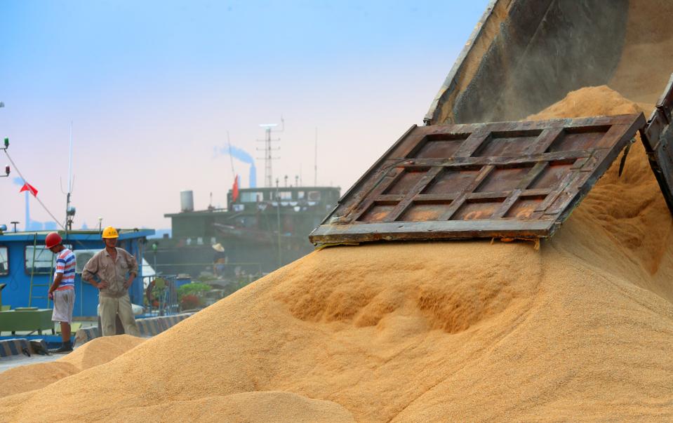 Agricultural Imports In Nantong, China