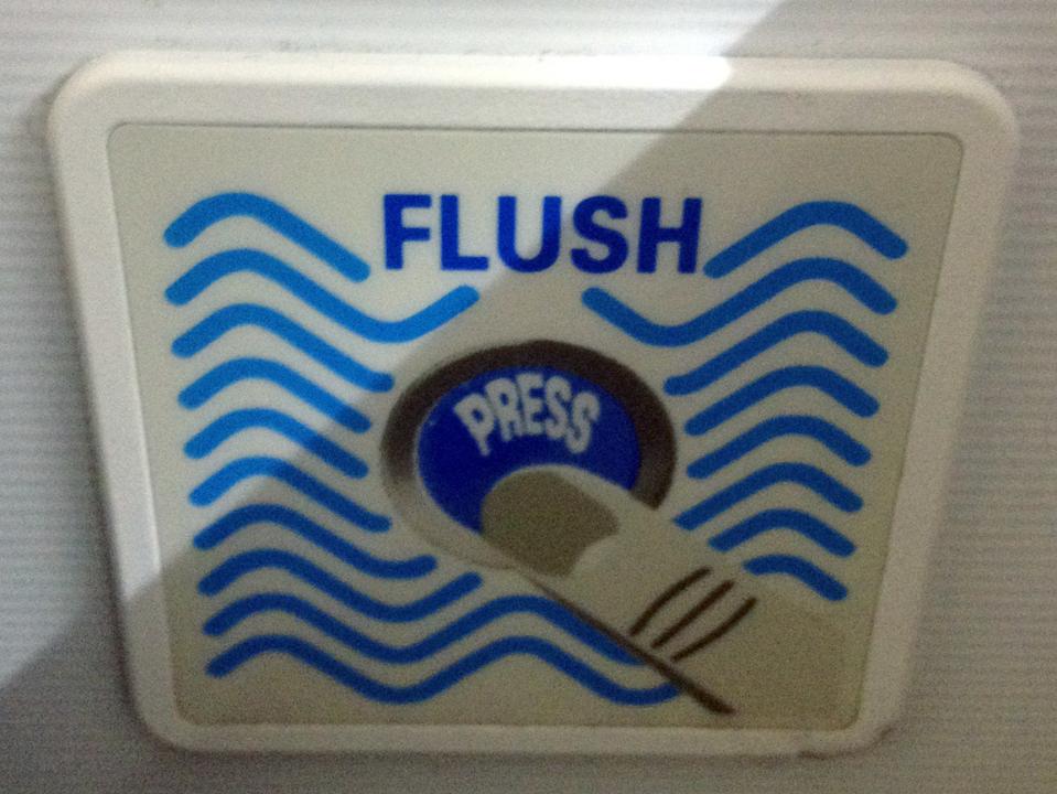 Airplane toilet flush