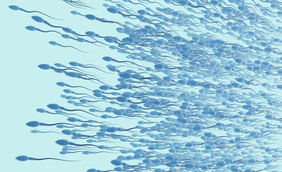 3d illustration of sperm cells or spermatozoon moving to the left side