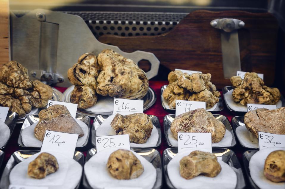 White Truffles (Tuber Magnatum Pico) of Alba, Piedmont (Italy)