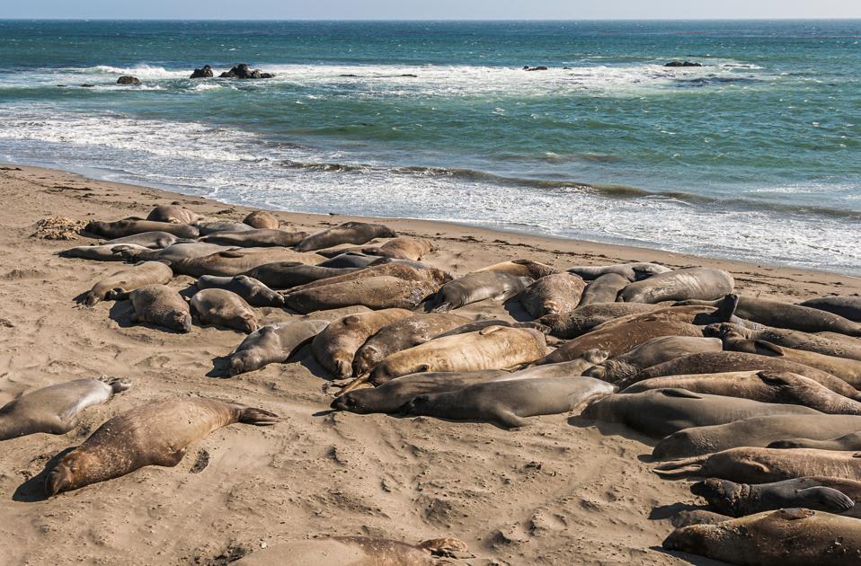 Your Ultimate Big Little Lies Road Trip Guide