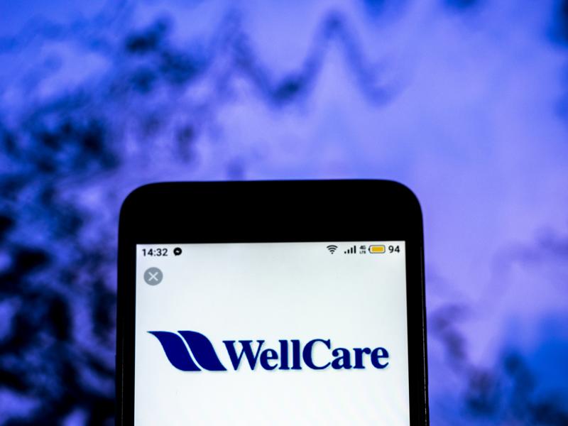 Why Has WellCare's Stock Gained 15% Over The Last Month?