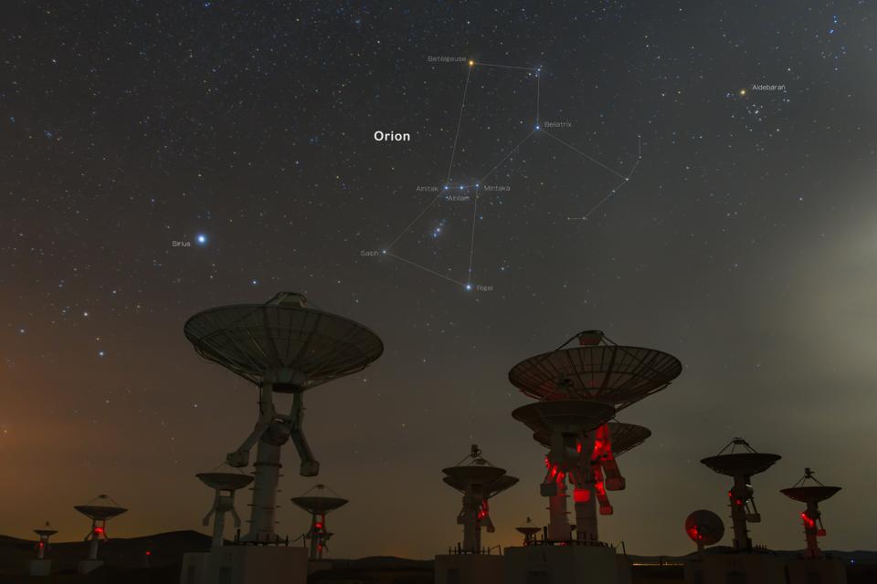 Get We Are Now In The Dog Days Of Summer It Doesn T Mean What You Think Free HD Wallpaper We Are Now In The Dog Days Of Summer It Doesn T Mean What You Think For Android Free