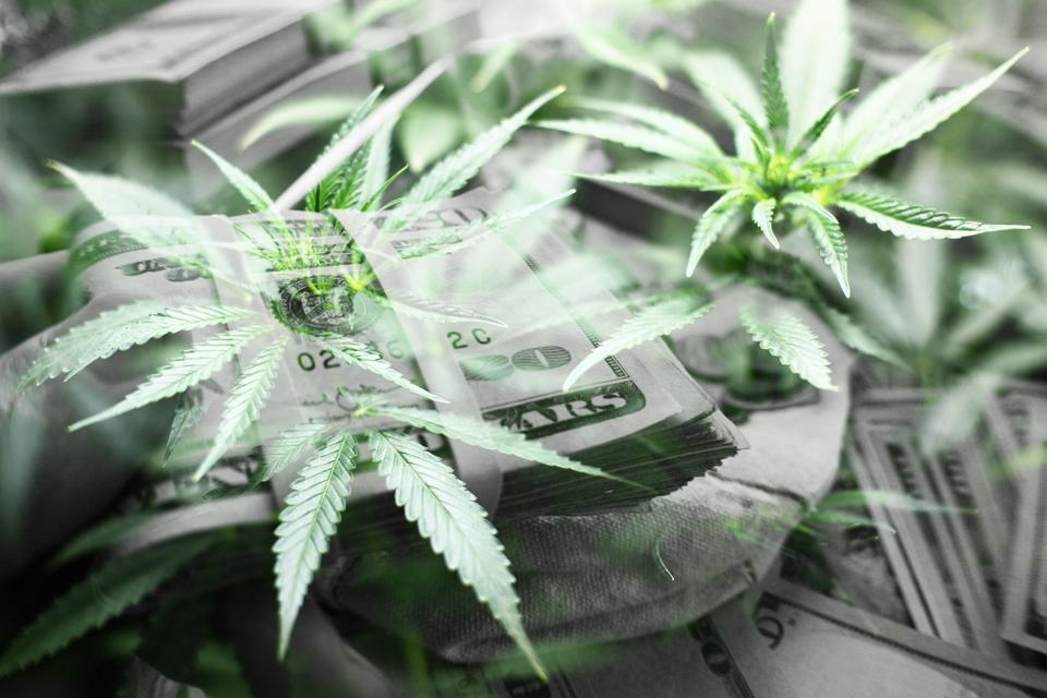 Marijuana black market is still too strong to be snuffed out.