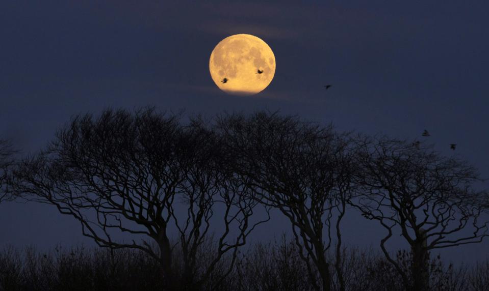 Exactly When You Should Watch This Week S Super Snow Moon At Its