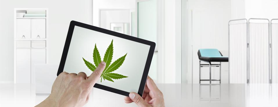 doctor's hand touch screen of the digital tablet with the marijuana leaf symbol, isolated on the medical clinic office background