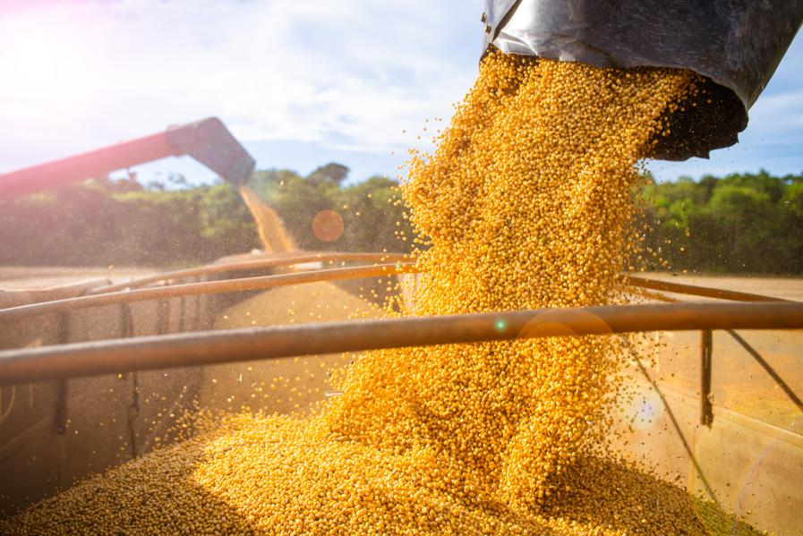 Agricultural Stocks Poised To Breakout As US Economy Braces For Reopening